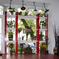 Мебель из натурального дерева